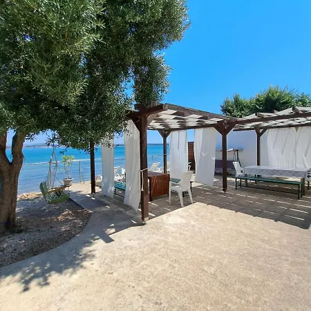 Seaside Brist * Tkon